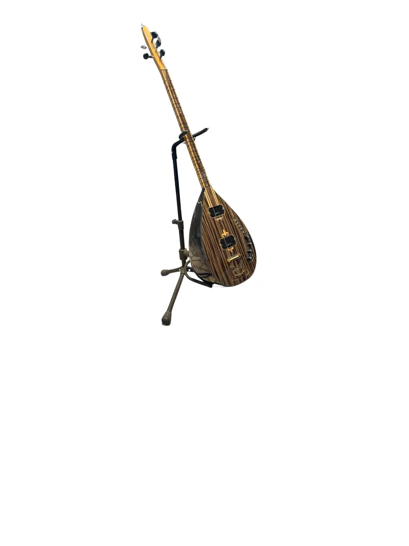 Elektro Bağlama 005