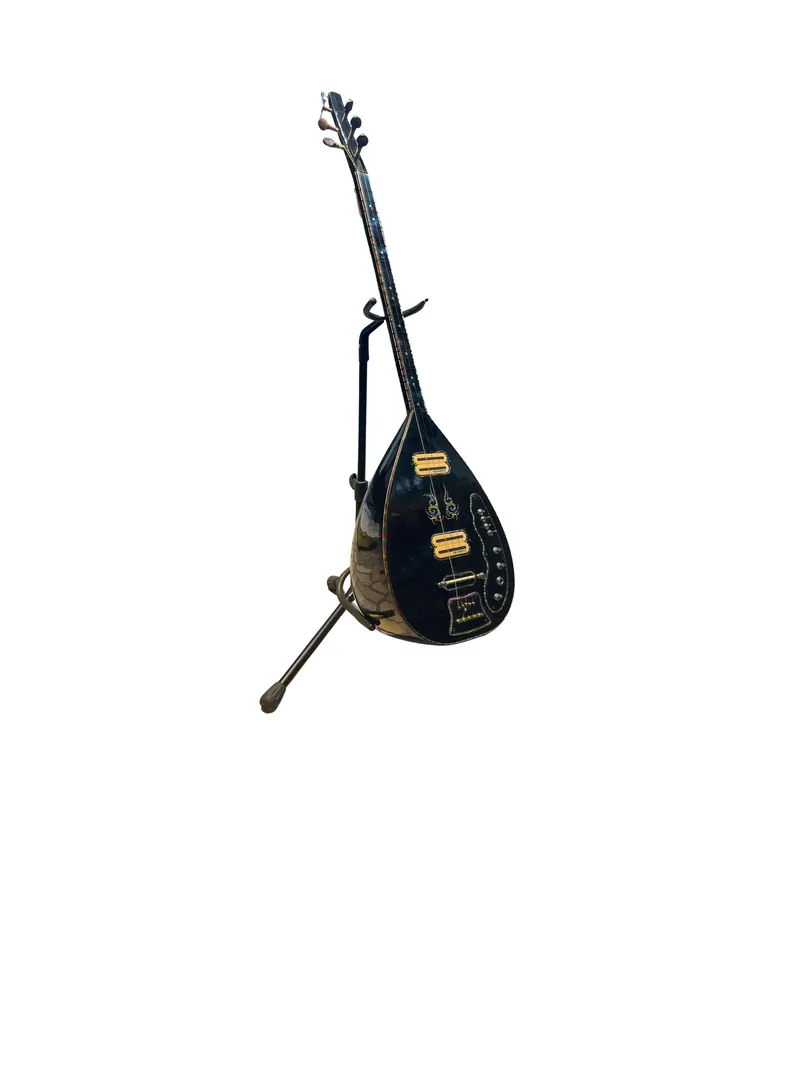 Elektro Bağlama 055